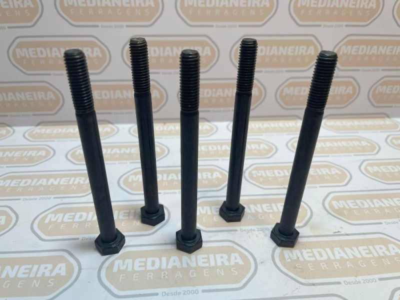 PF SX MA 22 X 100 MM 10.9 R.P